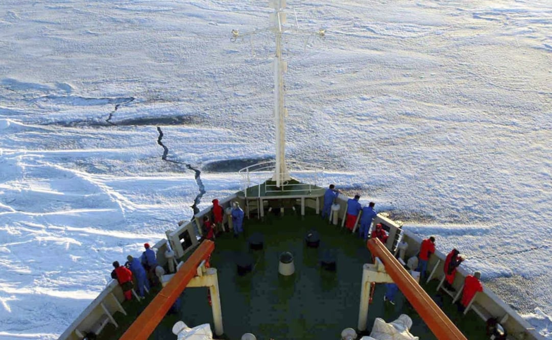 El deshielo ha dejado a la vista rocas y muchas especies han retrocedido hacia el interior de la Antártida. (FOTO: Archivo/ELUNIVERSAL)