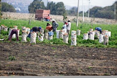 La Sagarpa apoya hasta muertos y funcionarios