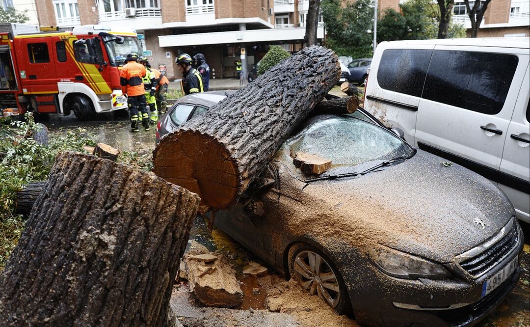 Efectos en Madrid del fuerte viento provocado por Ciarán, una borrasca de alto impacto procedente del Reino Unido, que ha activado este jueves avisos en toda España. Foto: EFE