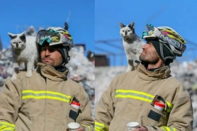 ¿Los mejores amigos? "Enkaz", gatito rescatado en Turquía, tiene nuevo dueño