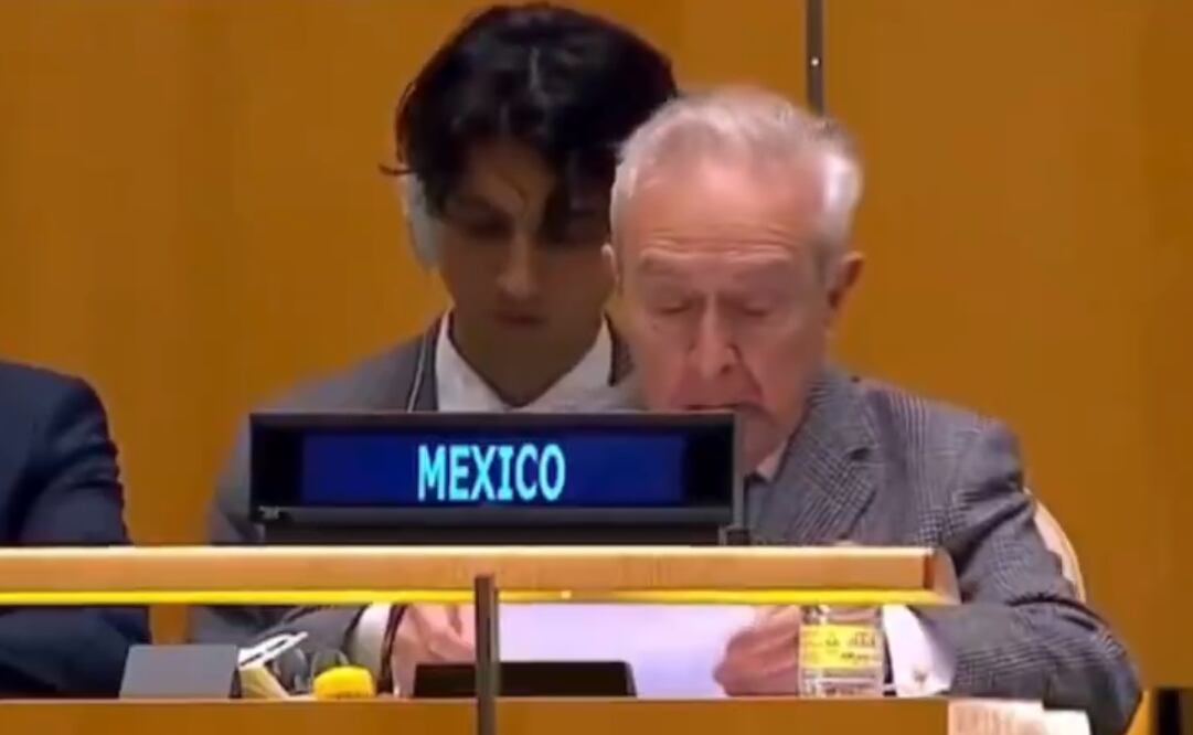 Héctor Vasconcelos mencionó que el gobierno de México hizo una transferencia a UNRWA por un millón de dólares. Foto: Especial