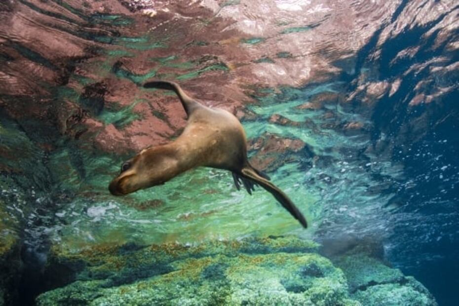 Escapadas por menos de 10 mil pesos en siete lugares de México