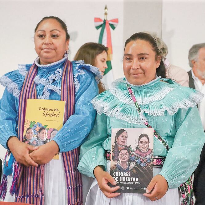 En el libro Colores de la Libertad, se expone el caso de Alberta Alcántara y Teresa González; estuvieron en prisión sin motivo. DIEGO SIMÓN. EL UNIVERSAL