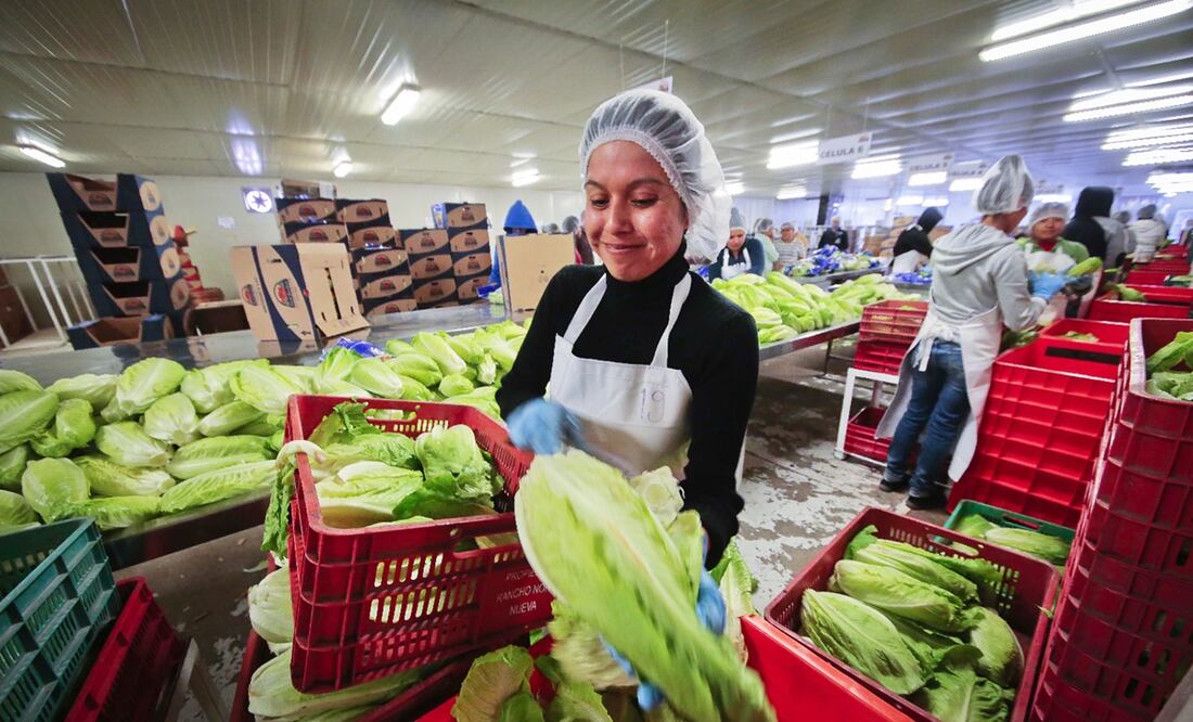 Descubren metal tóxico y cancerígeno en varios alimentos comercializados en la CDMX | El Universal