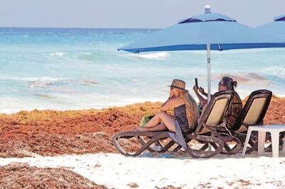 Sin definir, presupuesto para atender sargazo en el Caribe mexicano