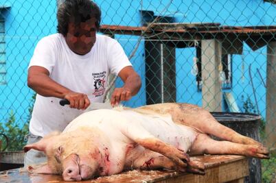 Avalan cárcel por sacrificar animales con crueldad