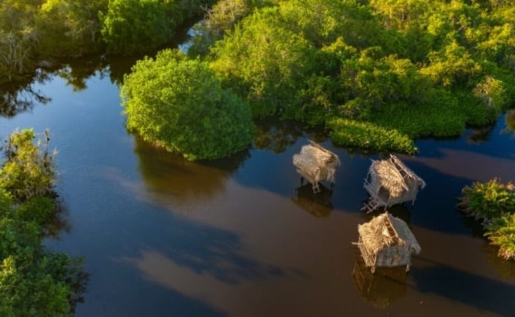 Atractivos y delicias: lo mejor de Nayarit, según la chef Betty Vázquez
