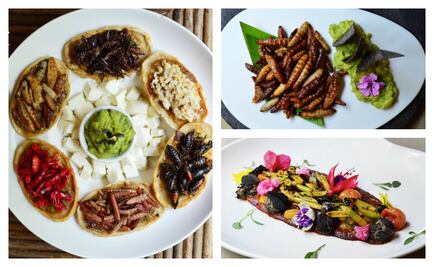 Cocina con insectos: tradición prehispánica