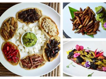 Cocina con insectos: tradición prehispánica