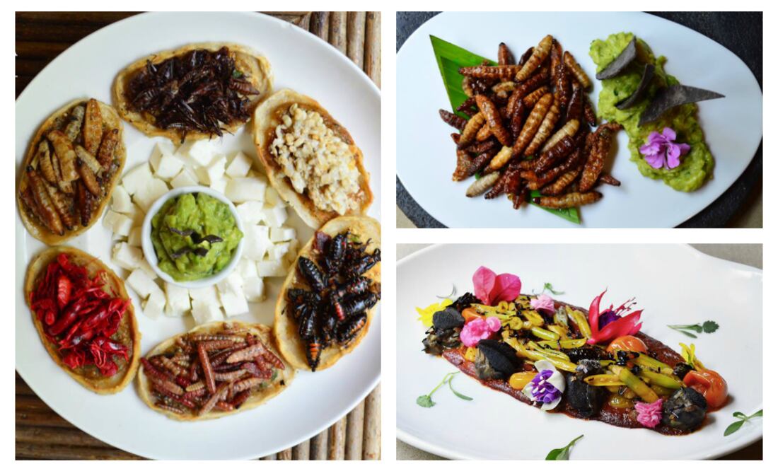 Foto: Cortesía Los Danzantes