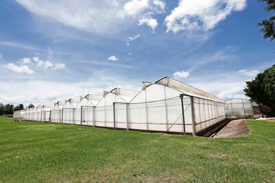 ¿De qué señalan y acusan a Monsanto?