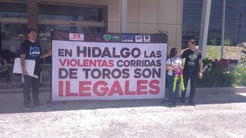 Activistas antitaurinos se manifiestan en Congreso de Hidalgo; piden prohibir corridas en la entidad