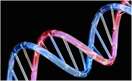 Google crea Inteligencia Artificial que toma una foto de tu genoma