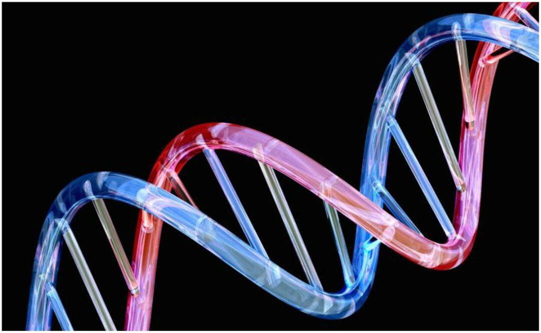 La secuenciación de alto rendimiento se popularizó en la década de 2000