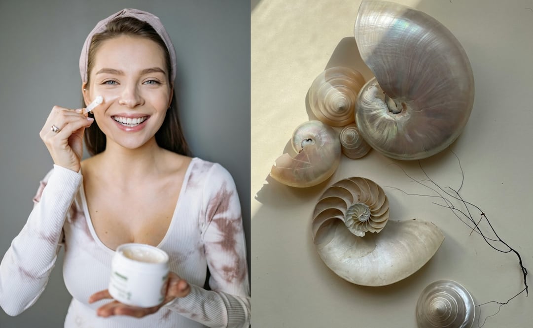 Estos son los beneficios de la crema de concha nácar en la piel. Foto: Pexels