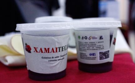 Politécnicos elaboran postres aptos para diabéticos