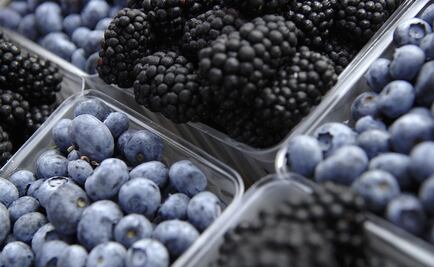 Mexico’s berry exports could overthrow avocados