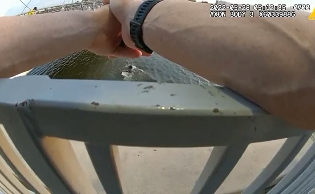 Foto: Captura de pantalla