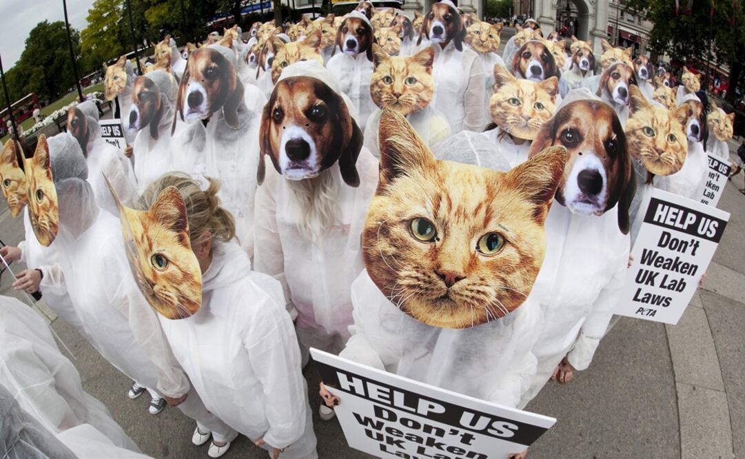 Foto: Xinhua/Bettina Strenske/London News Pictures/Zumapress, Archivo