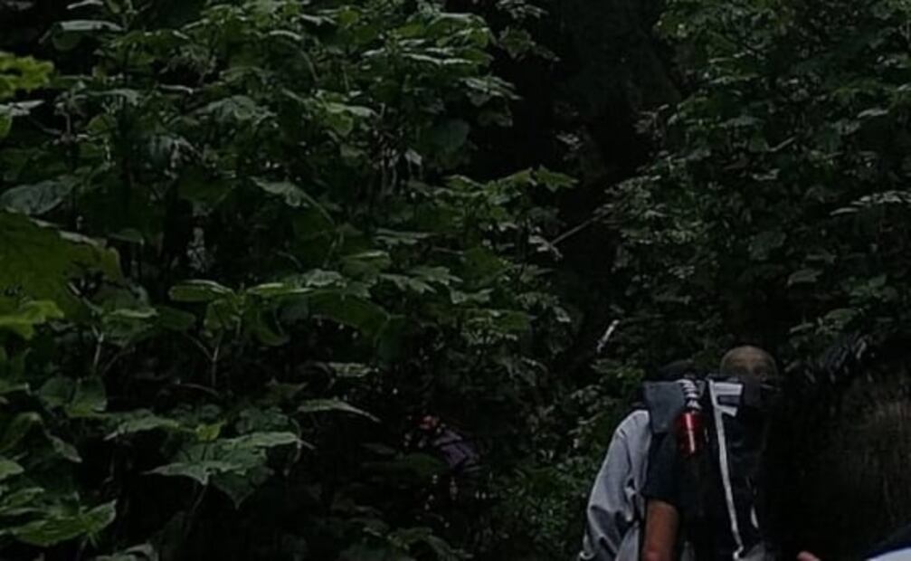 Gritos, silbatos y sin perder el ánimo: así fue el rescate de excursionistas perdidos en el Ajusco