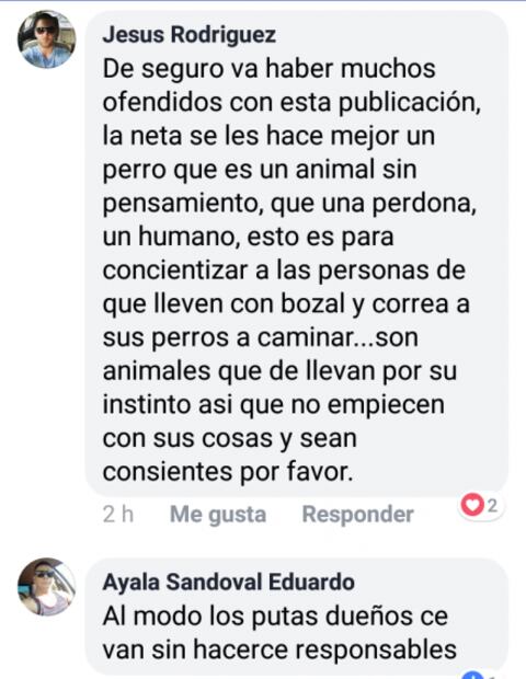 Perro ataca a mujer en el malecón de La Paz, Baja California Sur
