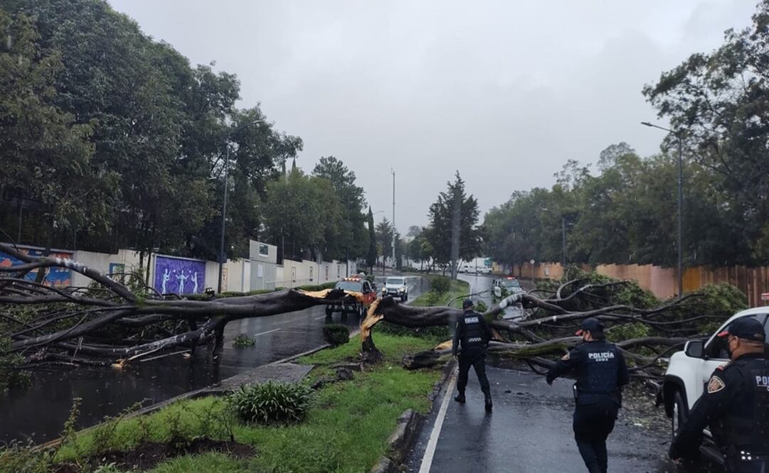 Foto: tomada de Twitter @SGIRPCMéxico