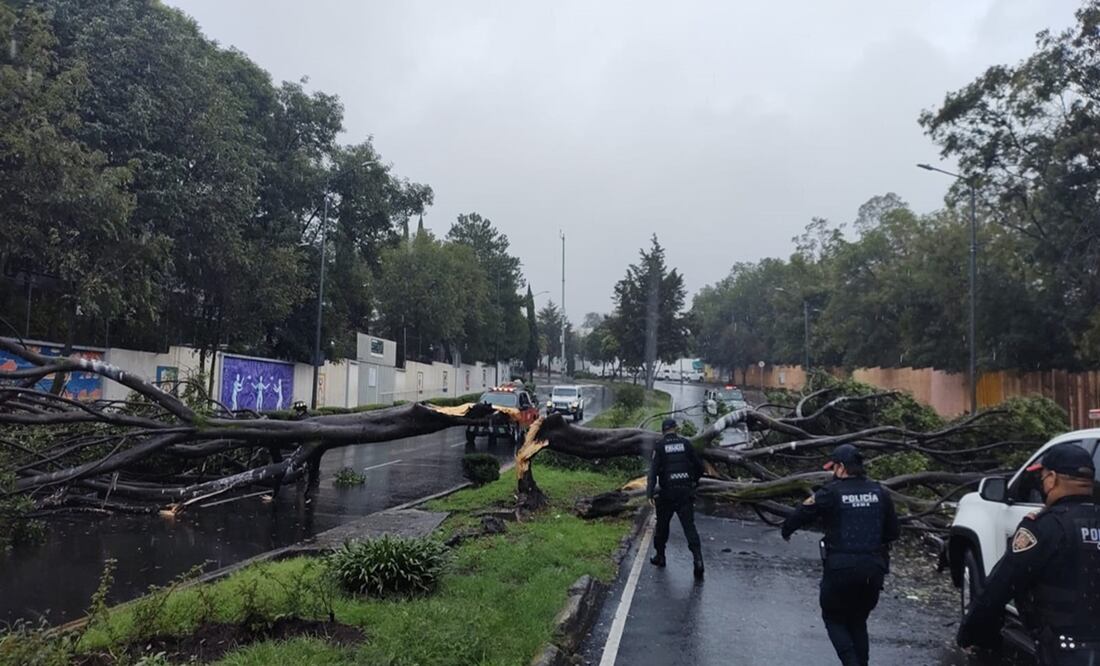 Foto: tomada de Twitter @SGIRPCMéxico