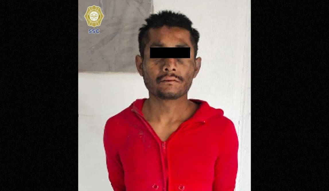 Detienen a hombre por presunto maltrato animal en la GAM; habría asesinado a dos perros. Foto: Especial