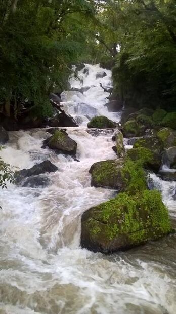 Cascadas cercanas a la CDMX 