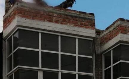 Mujer se va a Tula y deja a sobrinos amarrados con mecate en Tecámac