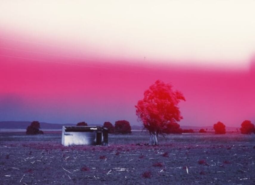 Mexicana fotografía el viaje que hizo en busca de su padre biológico; el proyecto le vale un premio internacional