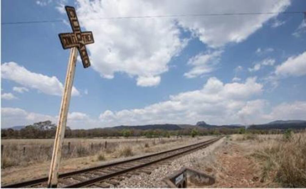 Serpientes, fieles guardianes del sitio arqueológico de Angamuco