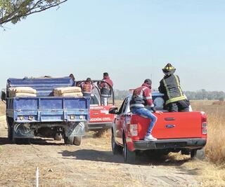 Zumpango, en alerta por escape de cuatro leones