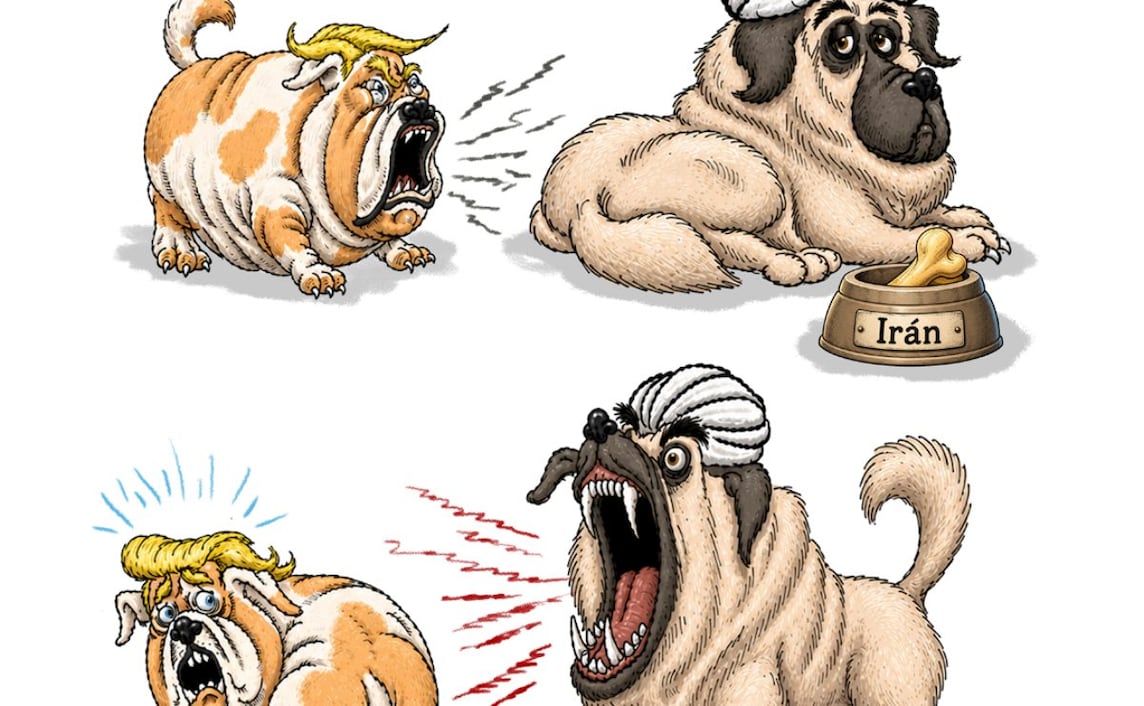 Dolores perros