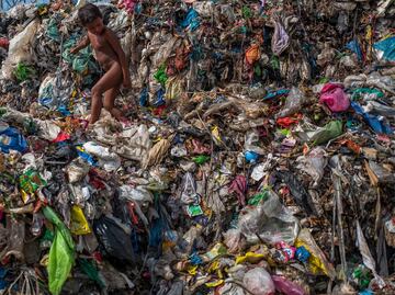 The plastic you drink everyday