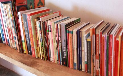 ¿Cárcel en EU a bibliotecarios por prestar libros "inapropiados" a niños?