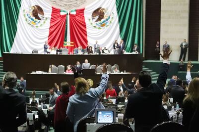 Diputados avalan en lo general y particular Ley de Seguridad 