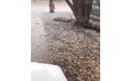 Tras incendios, Australia se prepara para "inundaciones repentinas" 