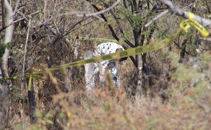 Asesinan a seis en Michoacán en menos de tres horas 