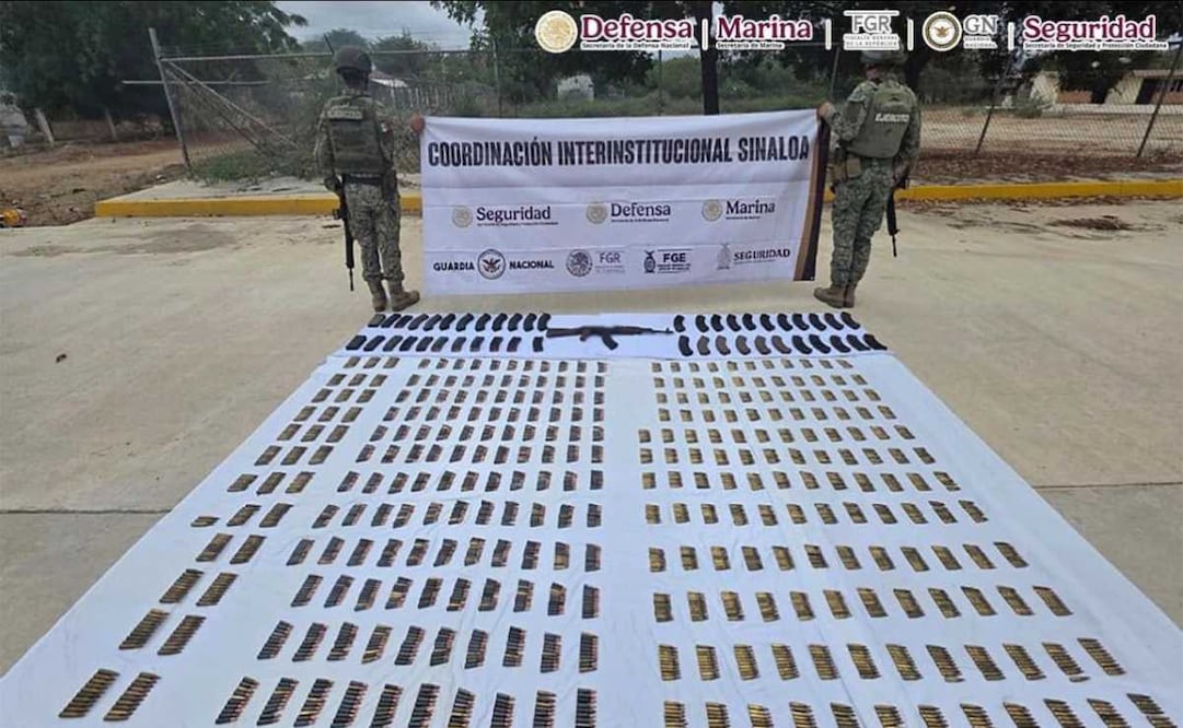 Autoridades federales detienen en Sinaloa a 11 integrantes de células delictivas generadoras de violencia. Foto: Especial