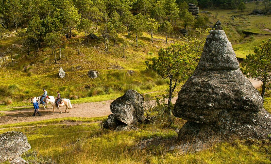 En Zacatlán de las Manzanas,se productocen hasta un millón de botellas de sidra al año. (Foto: RUSS BOWLING)