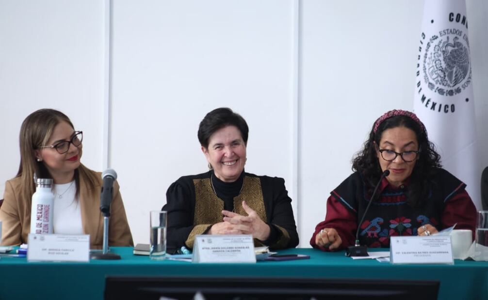 Se ha abatido el rezago y aumentado la eficacia en Derechos Humanos en la Ciudad de México: Dolores González Saravia.
Foto: Especial.