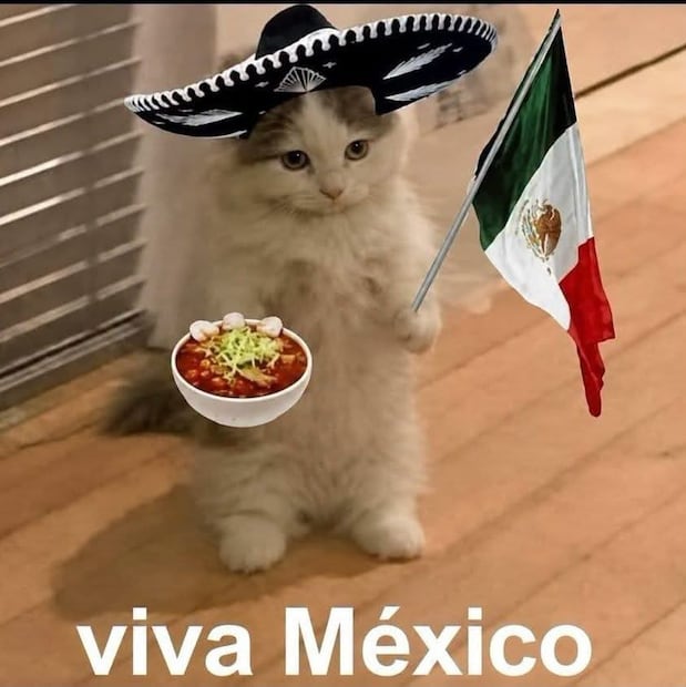 Los mejores memes que dejó este 16 de septiembre, Día de la Independencia de México. Foto: Captura de pantalla