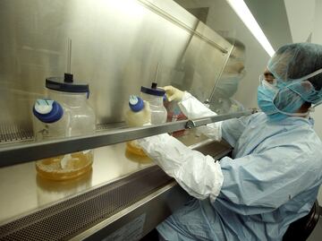 México suma 4 mil 306 casos de zika, reporta Secretaría de Salud