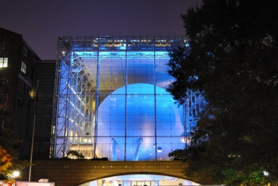 Dinosaurios en 360º, en uno de los mejores museos de Nueva York