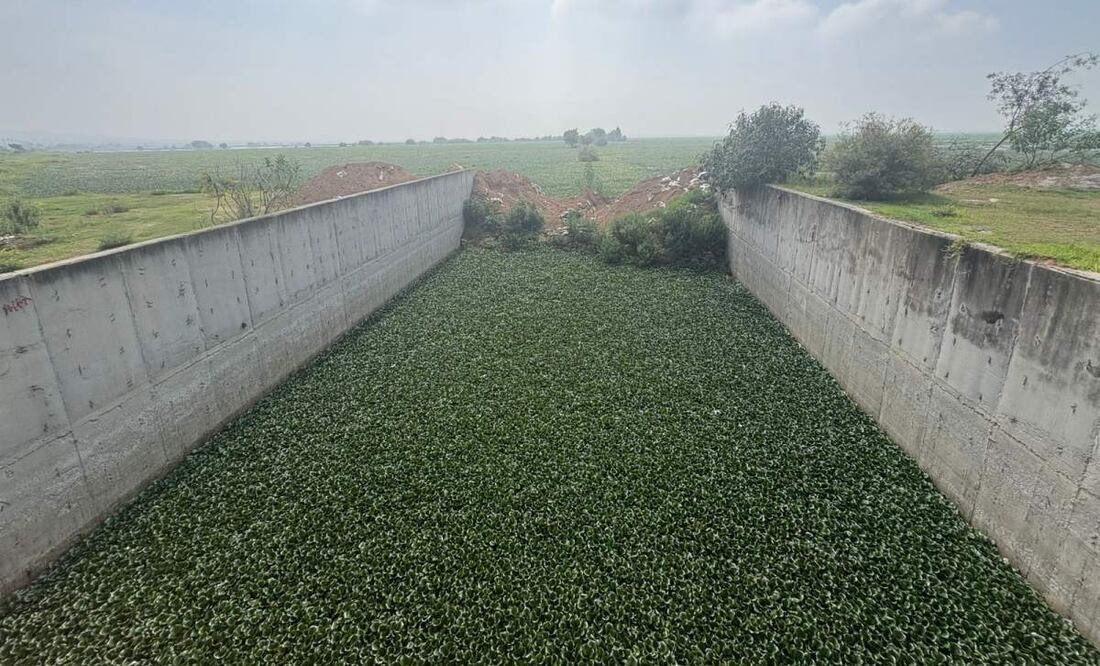 Retiran tapón de compuerta de acceso a la Laguna de Zumpango en el Edomex
(05/07/2025). Foto: Arturo Contreras / EL UNIVERSAL