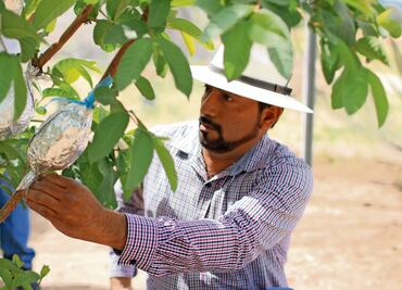 Desarrollan alternativas para enfrentar la sequía