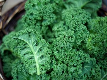 Kale: ¿una súper verdura?