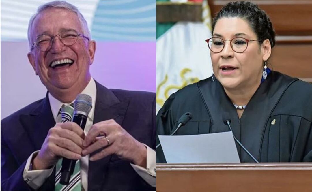 Salinas Pliego llama “Ministra Burra” a Lenia Batres tras abandonar sesión de la Corte. Foto: Archivo / EL UNIVERSAL