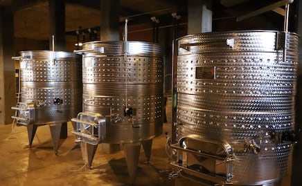 Viticultura por el Valle de la Independencia 